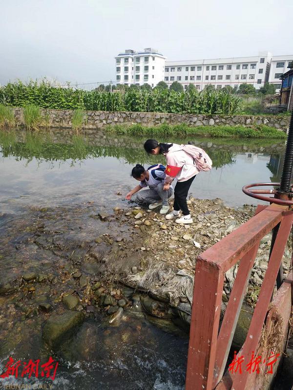 新宁:7575位路组长力助学生上下学平安_邵阳头条网
